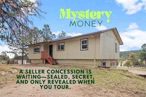 470 Homestead Road Bailey CO 80421