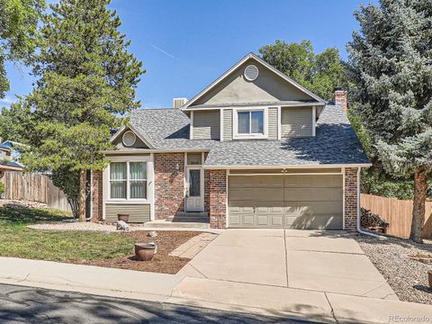 9948 Newton Court, Westminster, CO 80031 - #: 9866077