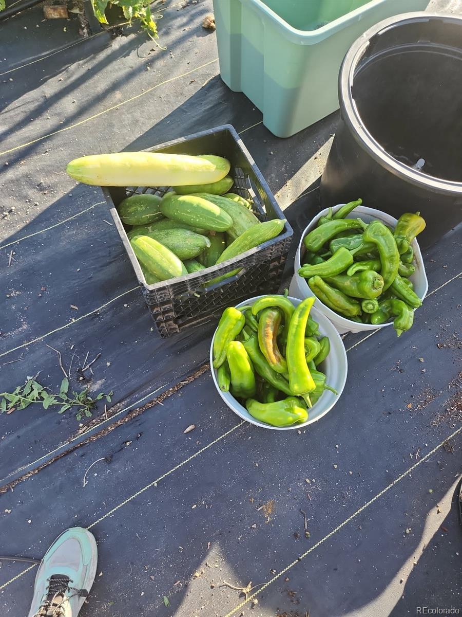 32307 County Road 75