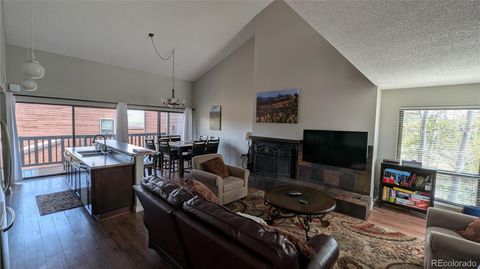 2710 Ryan Gulch Road 2731 Silverthorne CO 80498