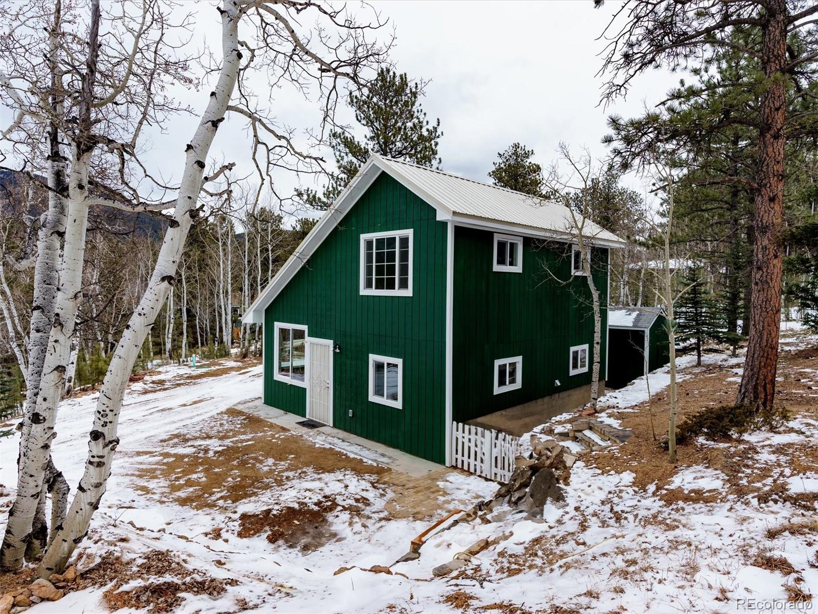 10 Bartimous Road, Bailey, CO, 80421 1 10 Bartimous Road