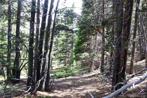 Group 2-3 Lamartine Road Idaho Springs CO 80452