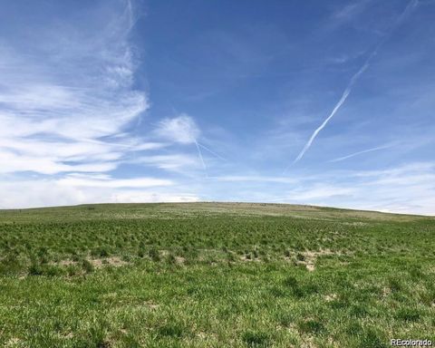 41382 Bijou Street Agate CO 80101