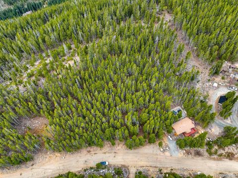 123 Silver Creek Road Idaho Springs CO 80452