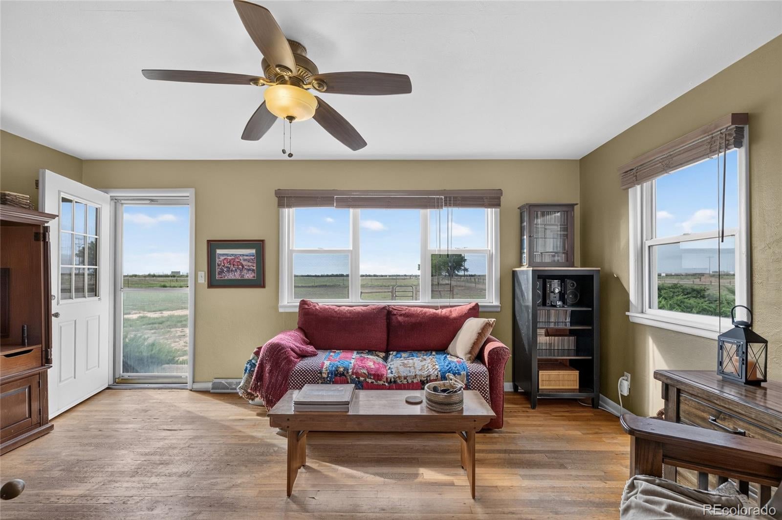 29517 County Road 398
