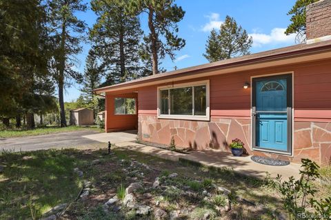 9359 Barnes Avenue Conifer CO 80433