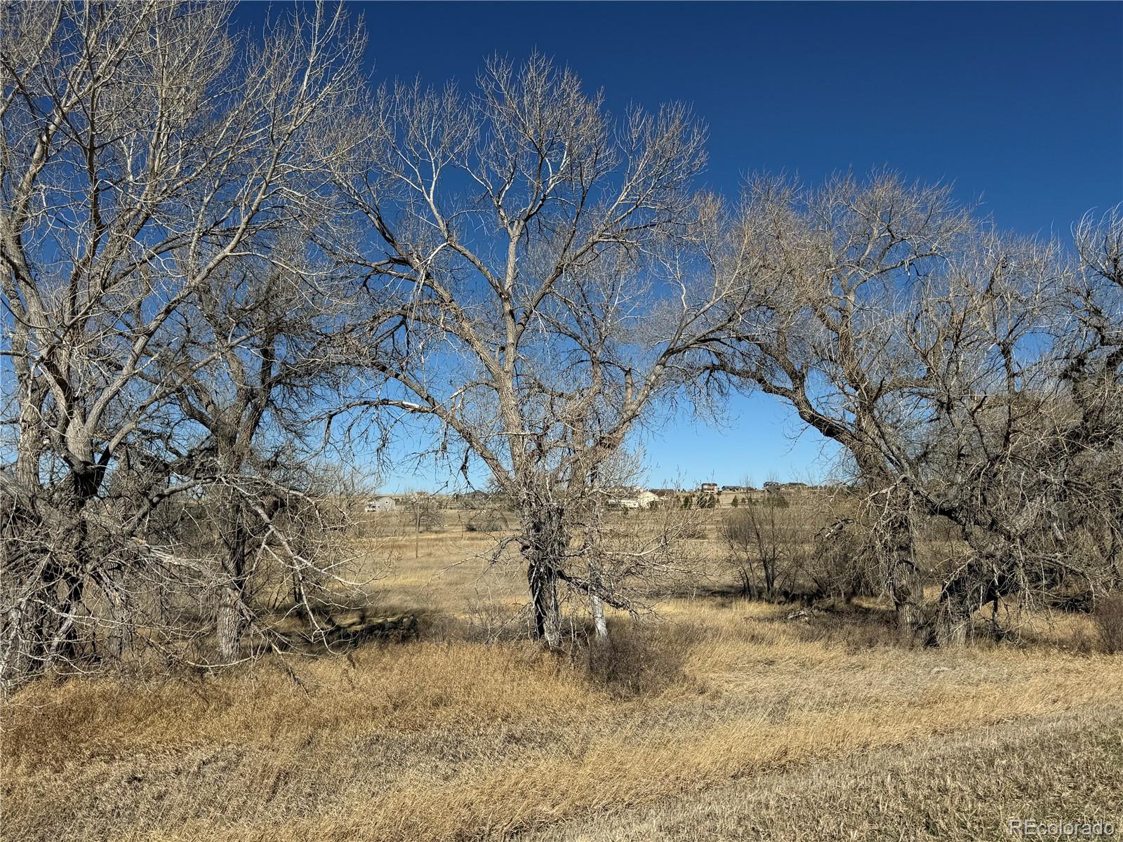 2427 Elkhorn Ranch Street