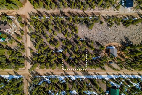 199 Birch Drive Leadville CO 80461