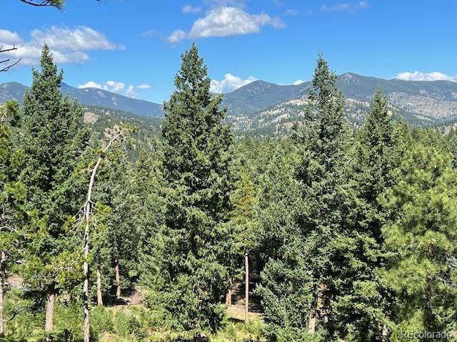 TBD Barney Gulch Road