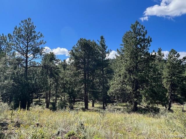 TBD Barney Gulch Road