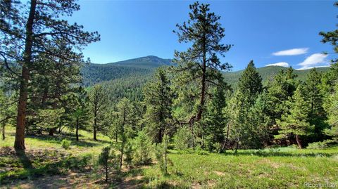 00 Twin Spruce Road, Golden, CO 80403 - #: 6677884