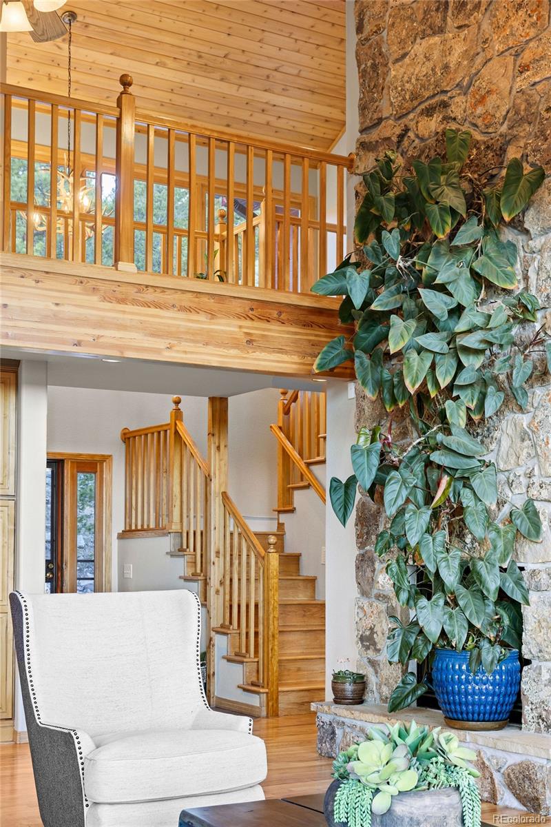 30717 Conifer Mountain Drive
