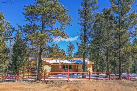833 Spring Valley Drive, Divide, CO 80814 - MLS#: 9449255