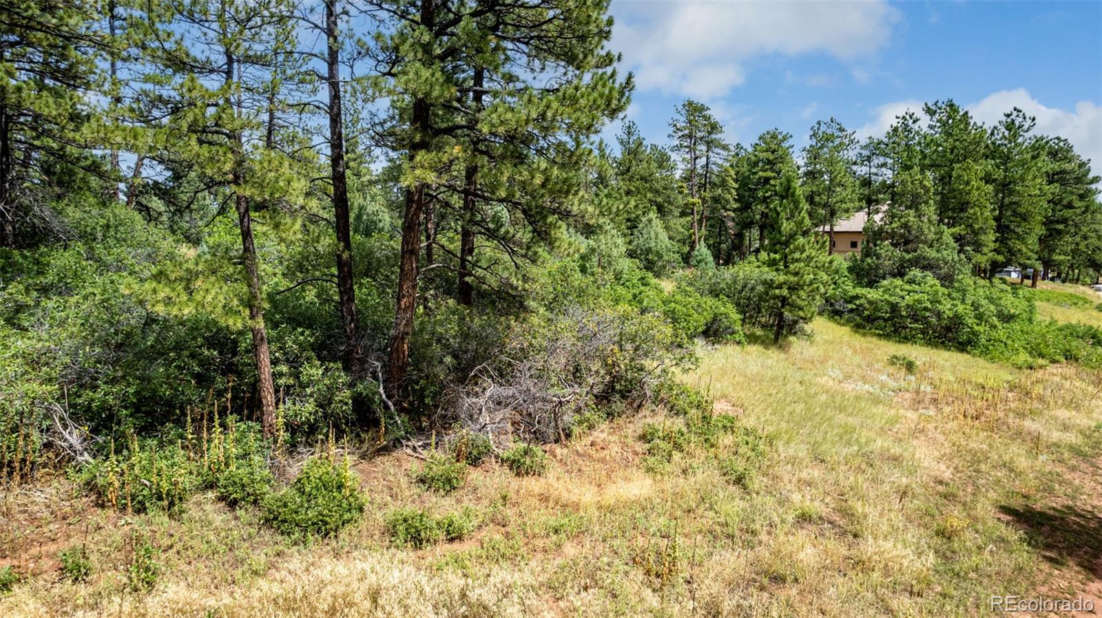 8160 Bannock Drive