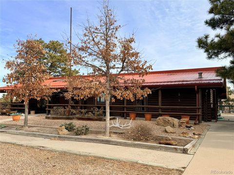 24063 County Road 122 Ramah CO 80832