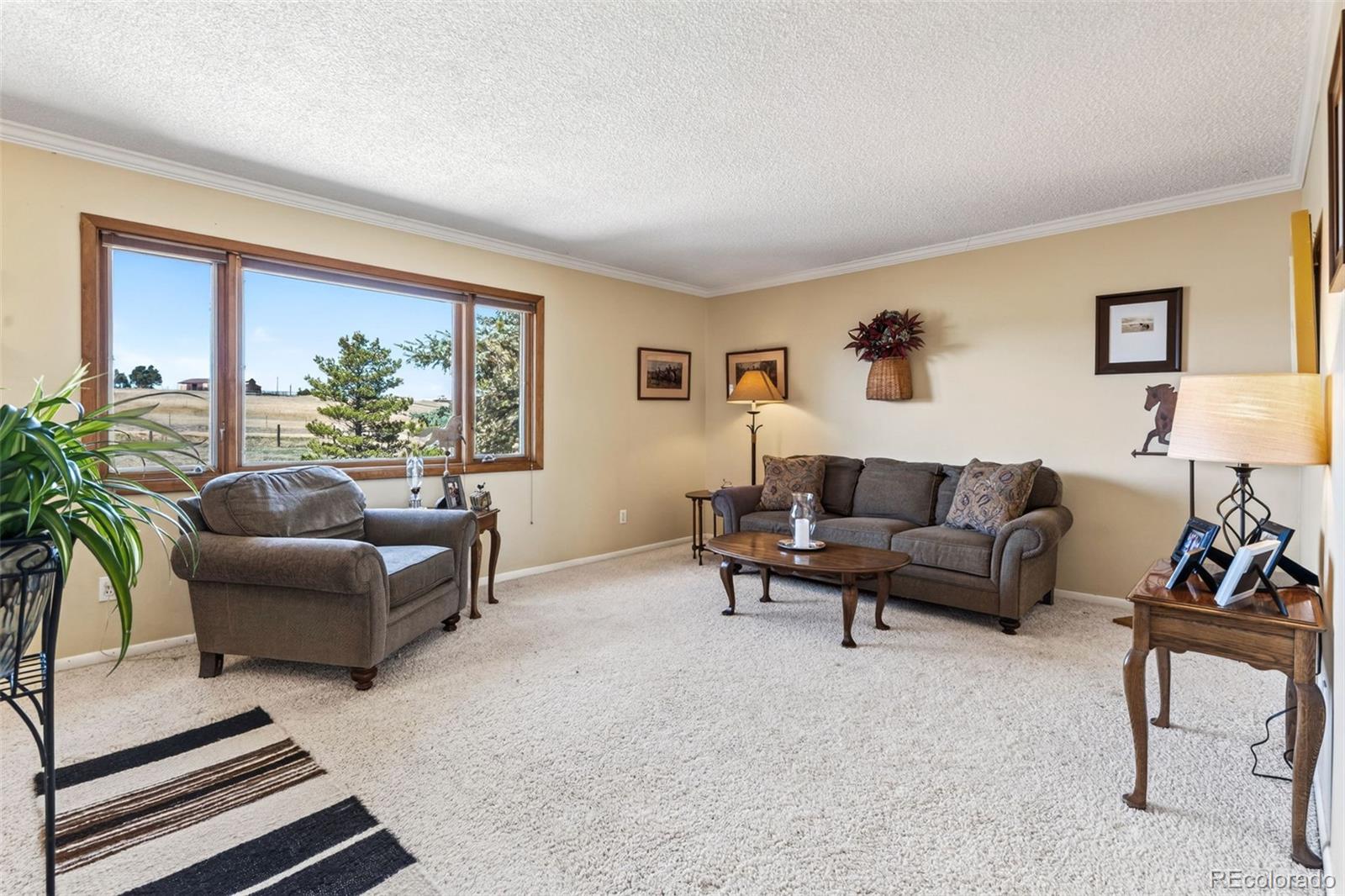 12360 Mesa View Road