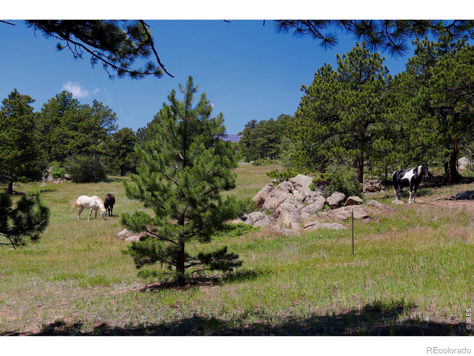 636 Ranch Road
