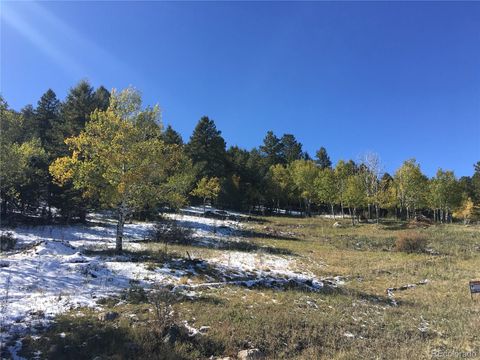 14745 Wetterhorn Peak Trail Pine CO 80470