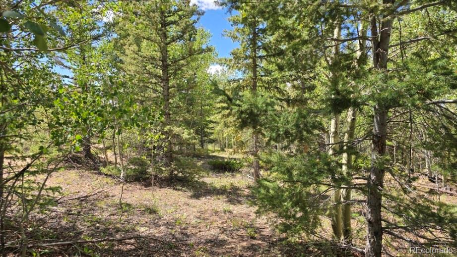 Lot 6804 Ryland Road