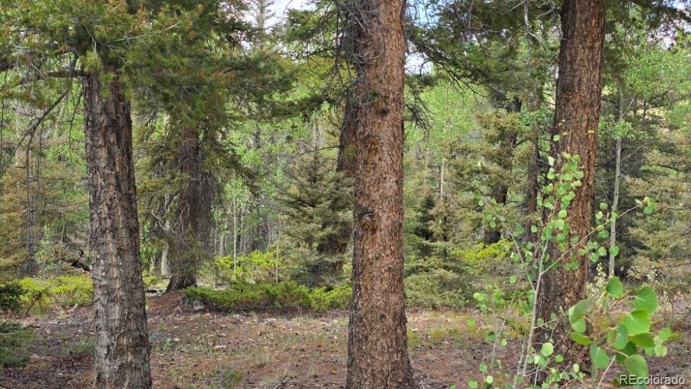 Lot 6804 Ryland Road