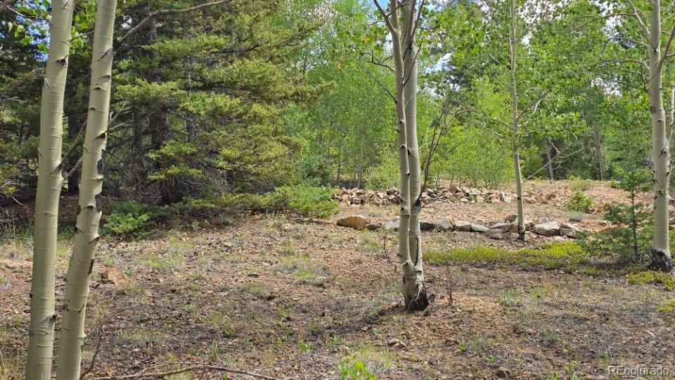 Lot 6804 Ryland Road