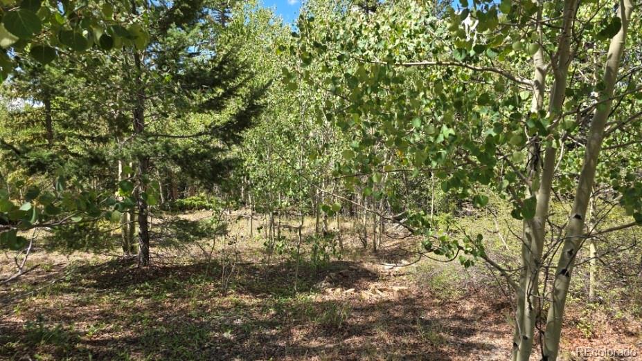 Lot 6804 Ryland Road