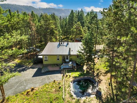 123 Saddle Drive Woodland Park CO 80863
