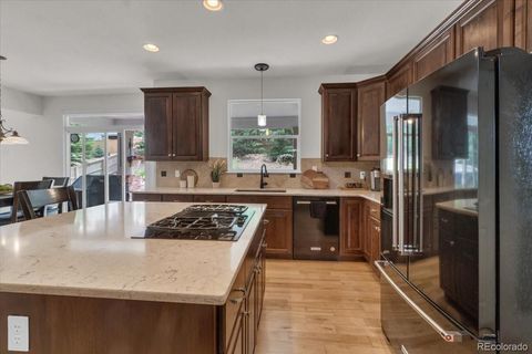 10683 Amesbury Way Highlands Ranch CO 80126