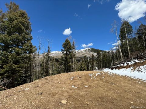 6915 Alexandra Road Fort Garland CO 81133