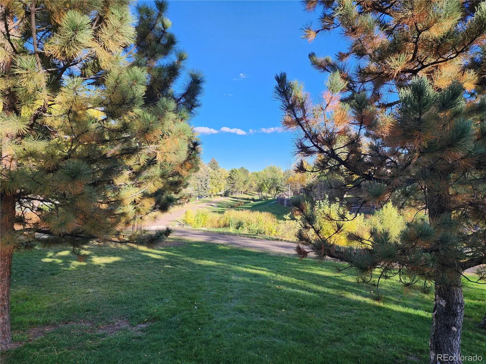 Littleton, Colorado 80123, United States, 3 Bedrooms Bedrooms, ,2 BathroomsBathrooms,Residential,Coming Soon,226408