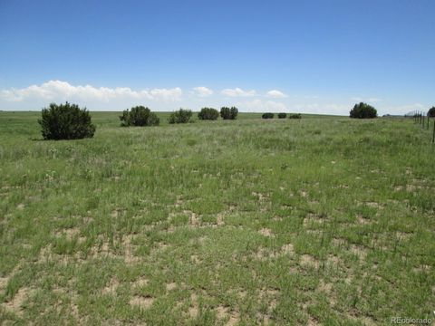 Unimproved Land in Rye CO Lots 95 & 96 Sikes Ranch.jpg