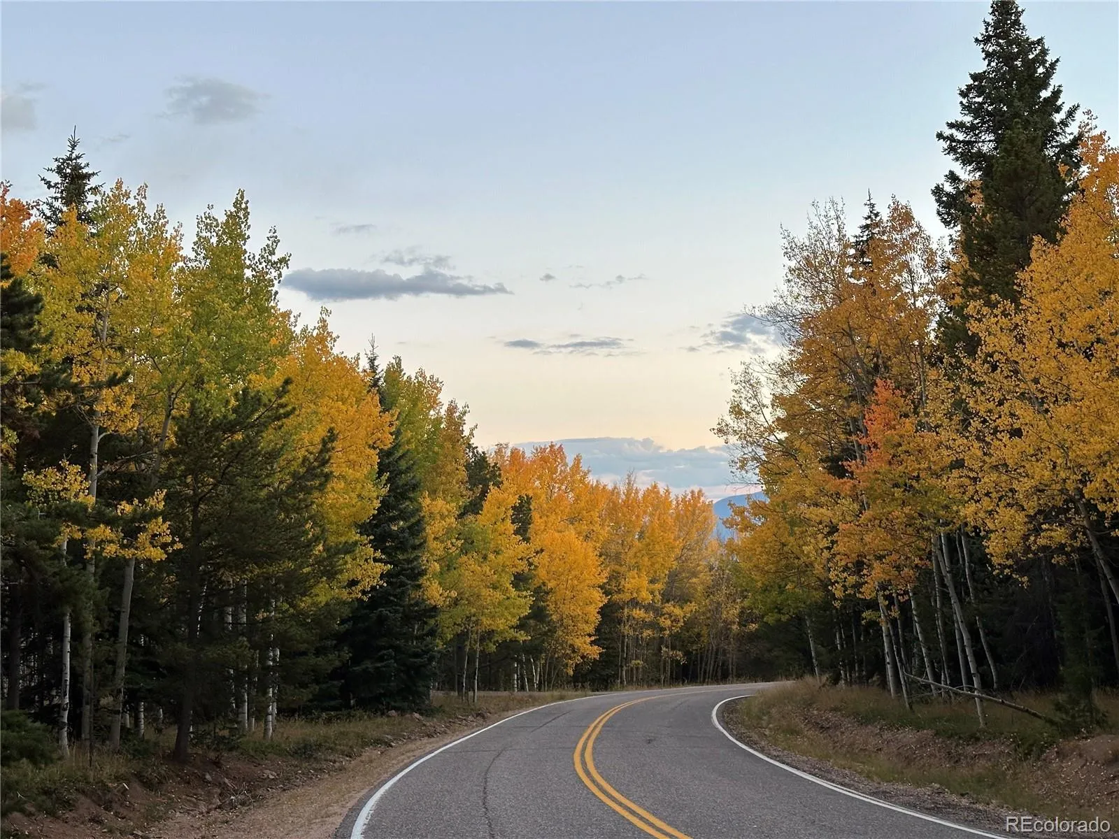 Conifer, Colorado 80433, United States, 3 Bedrooms Bedrooms, ,2 BathroomsBathrooms,Residential,Active,133940