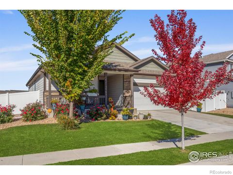 941 Barasingha Street Severance CO 80550