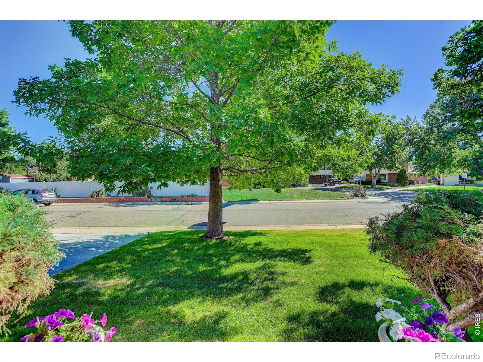 1431 S Magnolia Way