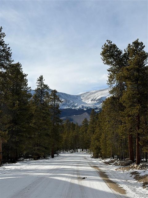 379 Peak View Drive Leadville CO 80461
