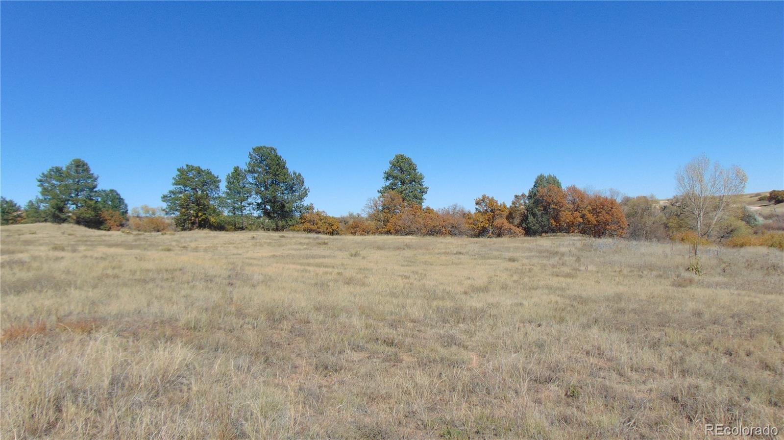 4771 Jackson Creek Road