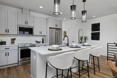 10864 Lyric Street Lone Tree CO 80134