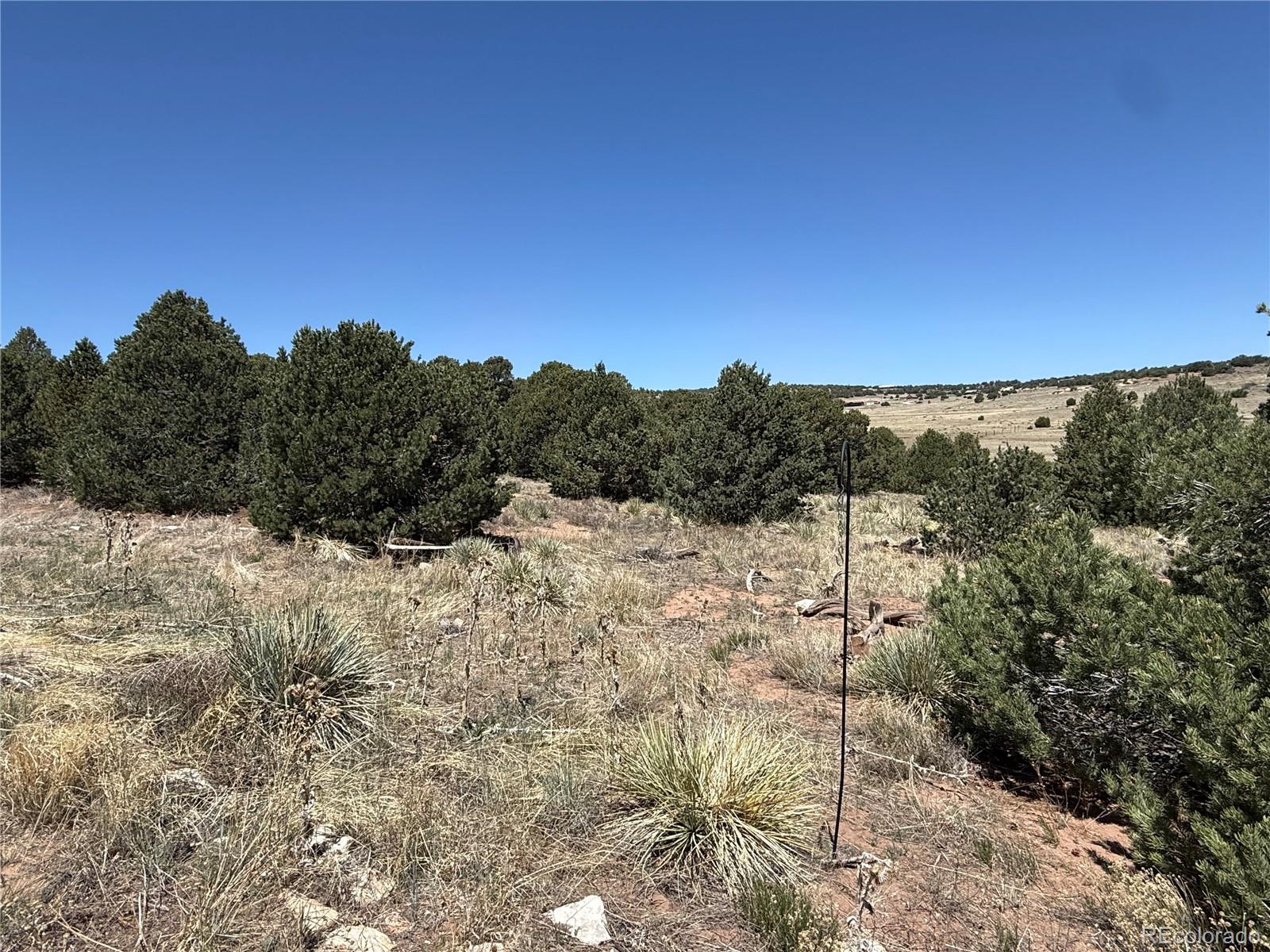 957 Arapahoe Drive