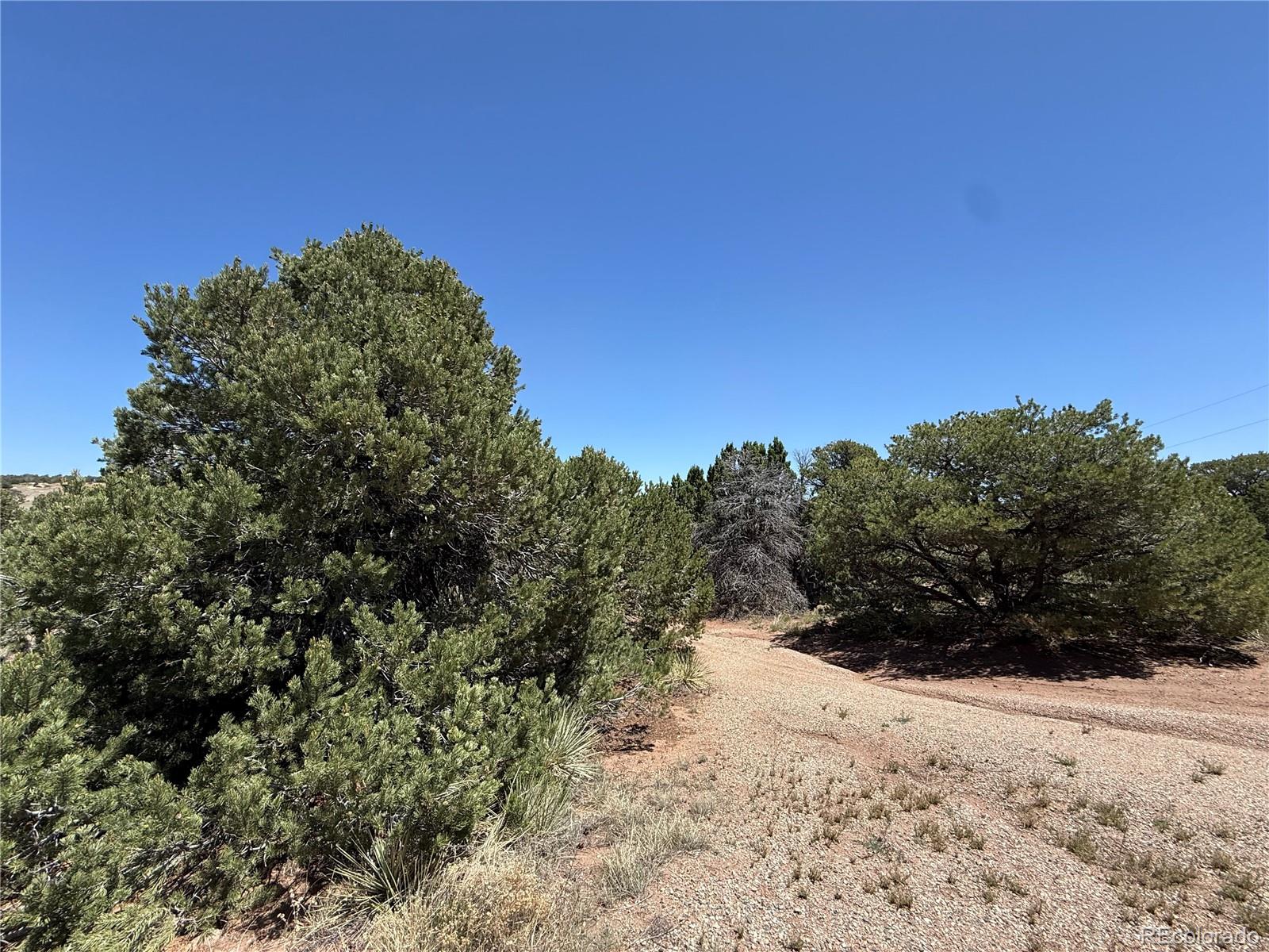 957 Arapahoe Drive