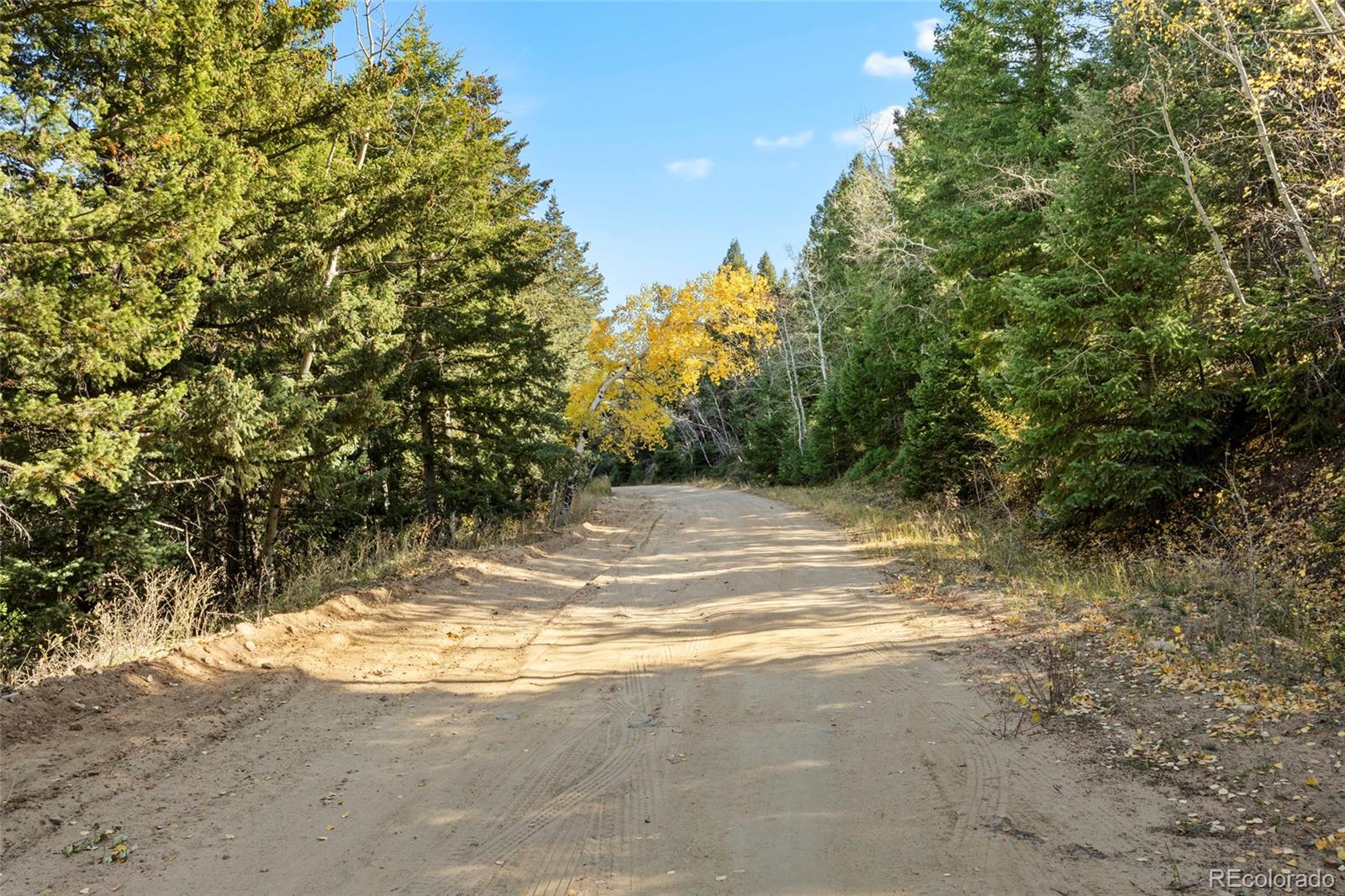 11696 Trappers Mountain Trail