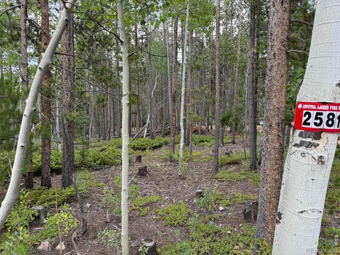 2581 Shoshoni Drive Red Feather Lakes CO 80545