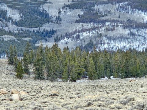 Parcel 11, Tract 11 Twin Lakes CO 81251