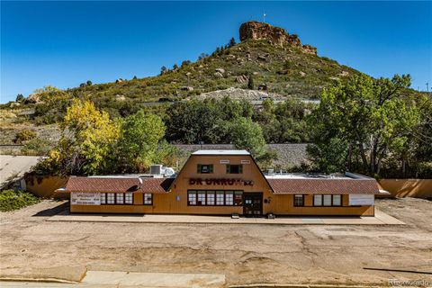 820 Wilcox Street Castle Rock CO 80104