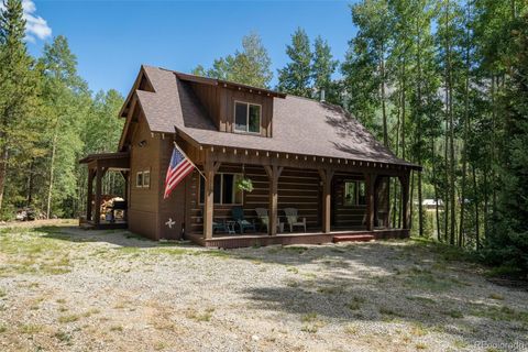 25879 County Road 162e Nathrop CO 81236