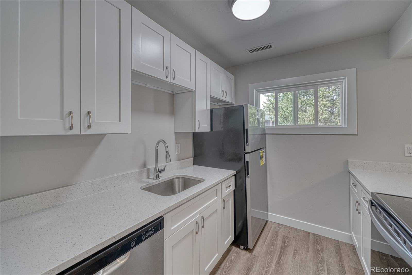 921 Mt Massive Drive 19