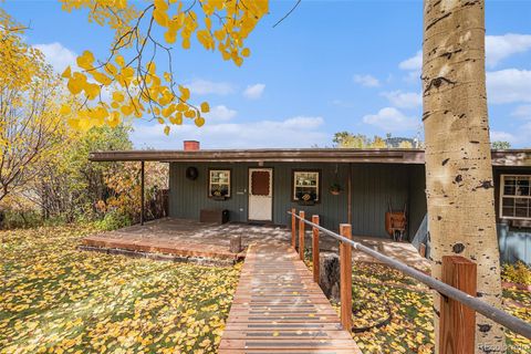26003 Morris Avenue Conifer CO 80433