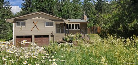 993 Fall River Road Idaho Springs CO 80452