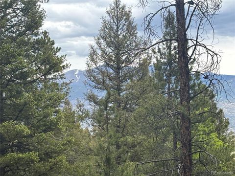 30304 Aspen Turn Buena Vista CO 81211