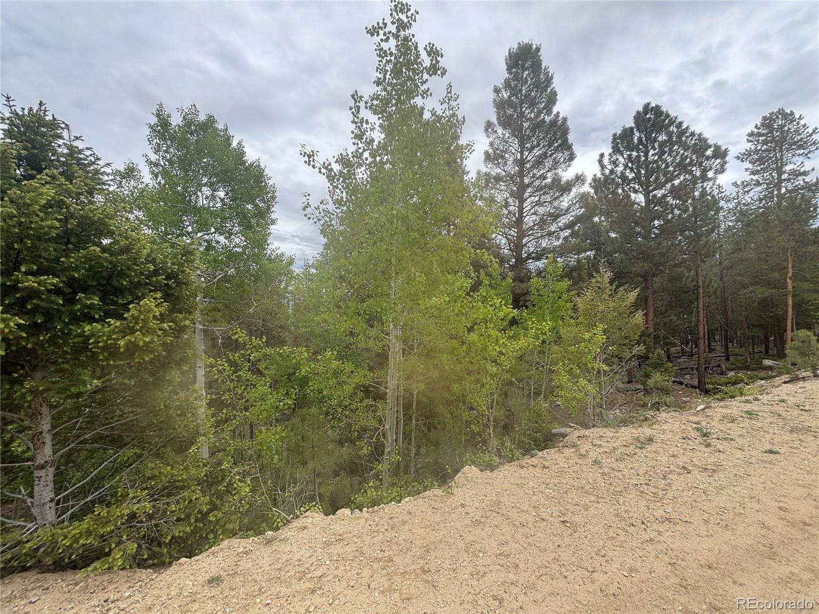 30304 Aspen Turn