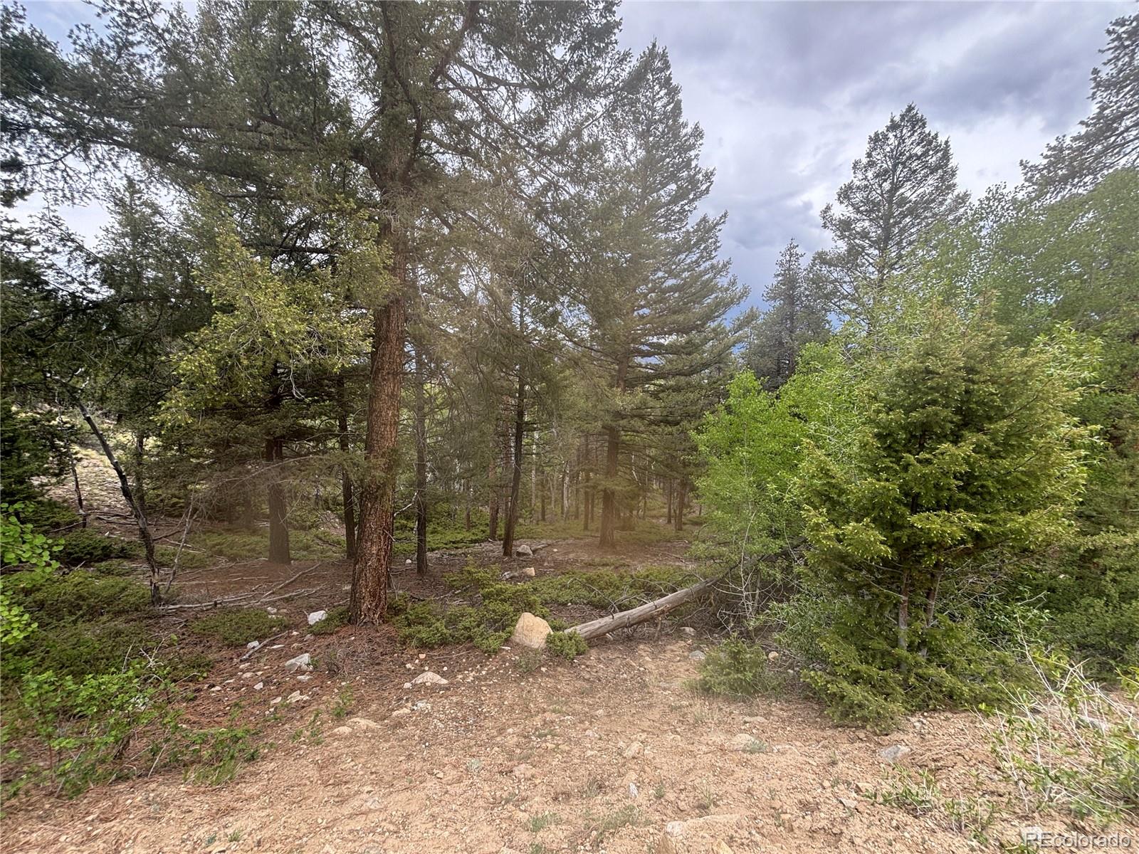 30304 Aspen Turn